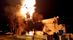 فيديو: احتراق شجرة نخيل في مدينة يافا والاطفائية تهرع للمكان